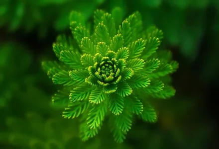 先嫁给刘备,后为陆逊生子-福为文史 - 历史故事_文化解读_人物传记_国学经典
