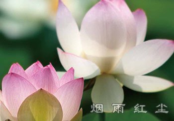 功德-福为文史 - 历史故事_文化解读_人物传记_国学经典